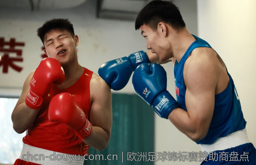 欧洲足球锦标赛赞助商盘点