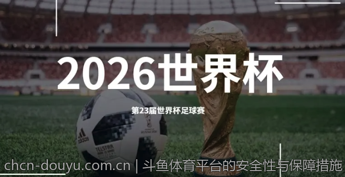 斗鱼体育平台的安全性与保障措施